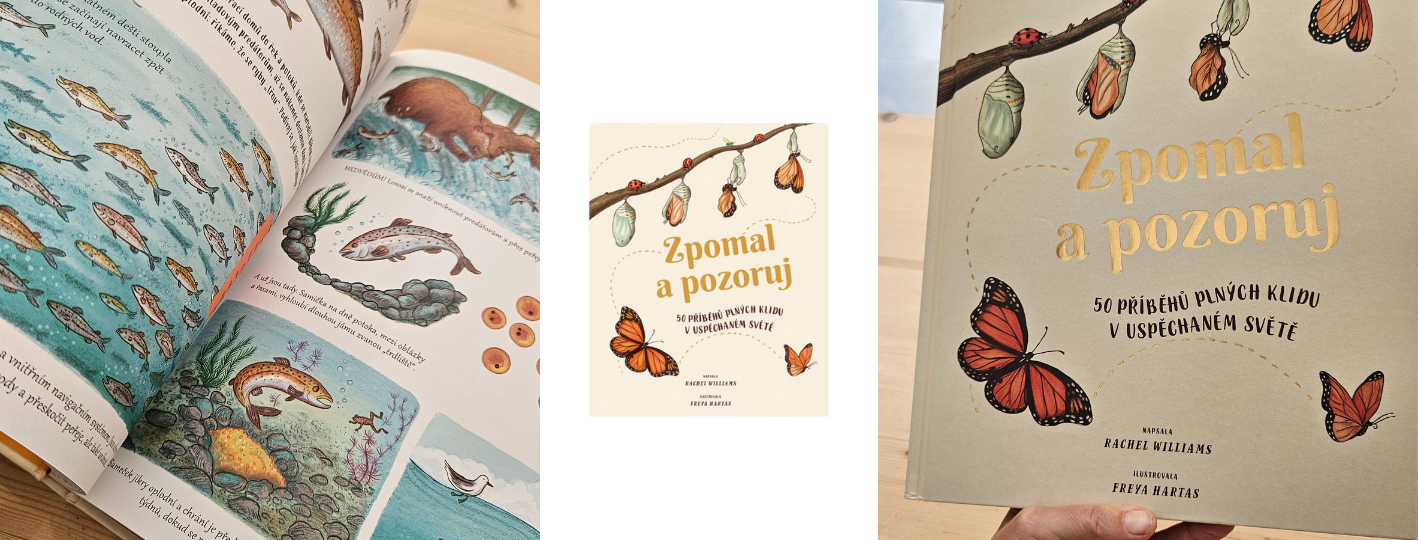 Zpomalapozoruj